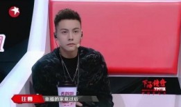 陈伟霆劲爆爆料视频,揭秘娱乐圈不为人知的秘密