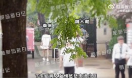 秦岚八卦最新爆料视频,揭秘明星背后的故事