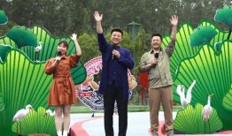 甘孜州酒店爆料视频最新,揭秘当地住宿环境与服务真相