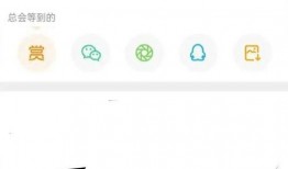 张小寒最新爆料视频网站,揭秘视频网站幕后真相